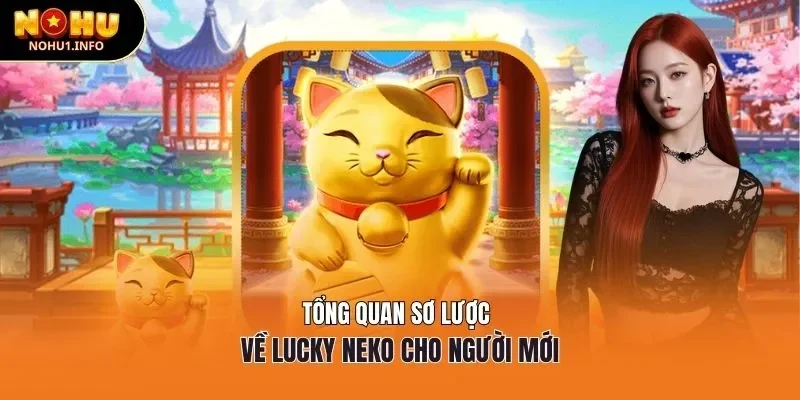 Tổng quan sơ lược về lucky neko cho người mới